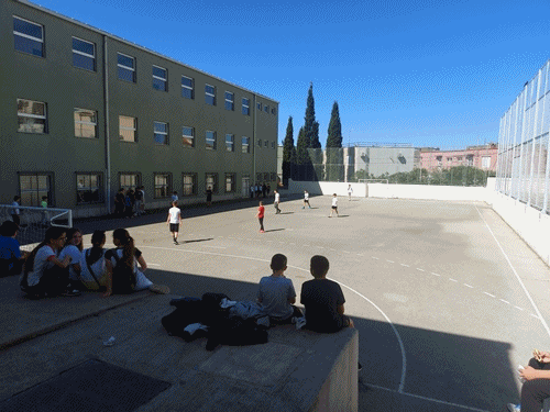 11 sport