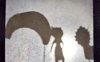 Kazalište sjena, 3. E.