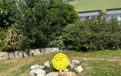 Osnovna škola Stjepana Ivičevića uključila se u inicijativu „Svibanj bez košnje“