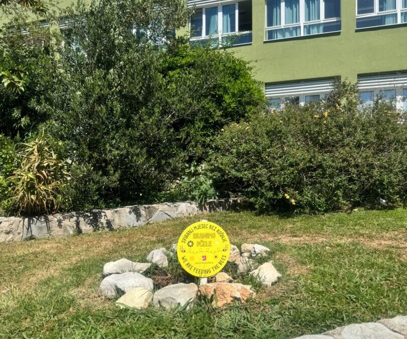 Osnovna škola Stjepana Ivičevića uključila se u inicijativu „Svibanj bez košnje“