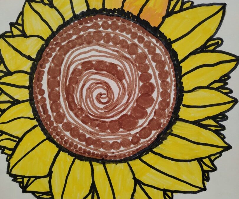 Suncokreti, 4.d